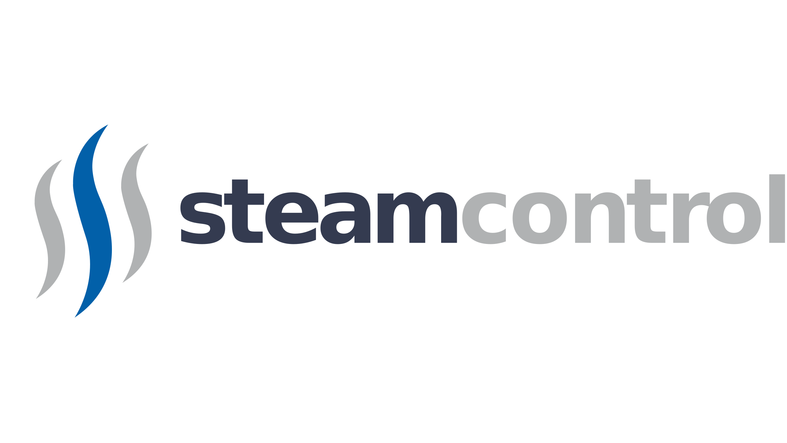 Steam Control
